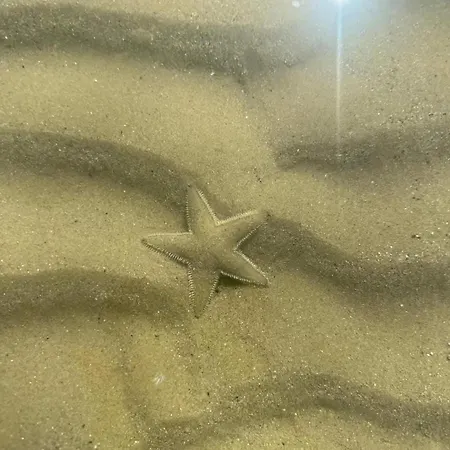 Silvi Blu Royal Apartamento *